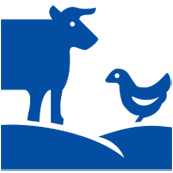 380 LIVESTOCK
